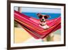 Dog on Hammock-Javier Brosch-Framed Photographic Print