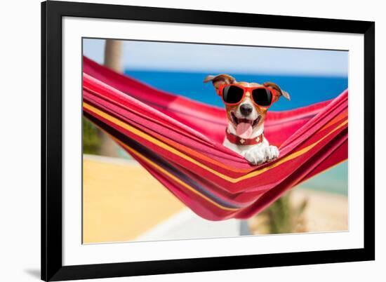 Dog on Hammock-Javier Brosch-Framed Photographic Print