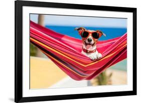 Dog on Hammock-Javier Brosch-Framed Photographic Print