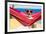 Dog on Hammock-Javier Brosch-Framed Photographic Print