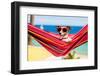 Dog on Hammock-Javier Brosch-Framed Photographic Print