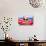 Dog on Hammock-Javier Brosch-Photographic Print displayed on a wall