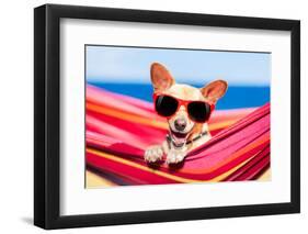 Dog on Hammock-Javier Brosch-Framed Photographic Print