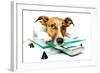 Dog on Scale-Javier Brosch-Framed Photographic Print