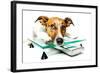 Dog on Scale-Javier Brosch-Framed Photographic Print