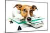 Dog on Scale-Javier Brosch-Mounted Photographic Print