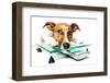 Dog on Scale-Javier Brosch-Framed Photographic Print