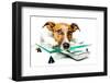 Dog on Scale-Javier Brosch-Framed Photographic Print