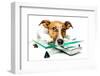 Dog on Scale-Javier Brosch-Framed Photographic Print