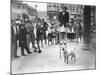Dog on Stilts!-null-Mounted Photographic Print