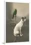 Dog on Table with Green Parrot-null-Framed Art Print