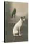 Dog on Table with Green Parrot-null-Stretched Canvas