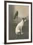 Dog on Table with Green Parrot-null-Framed Art Print