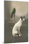 Dog on Table with Green Parrot-null-Mounted Art Print