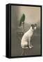 Dog on Table with Green Parrot-null-Framed Stretched Canvas