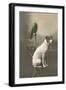 Dog on Table with Green Parrot-null-Framed Art Print