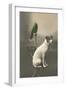 Dog on Table with Green Parrot-null-Framed Art Print