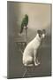 Dog on Table with Green Parrot-null-Mounted Art Print