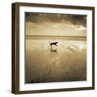 Dog on the Beach, West Wittering-Jo Crowther-Framed Giclee Print