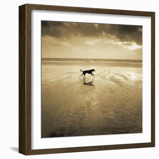 Dog on the Beach, West Wittering-Jo Crowther-Framed Giclee Print