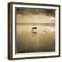 Dog on the Beach, West Wittering-Jo Crowther-Framed Giclee Print