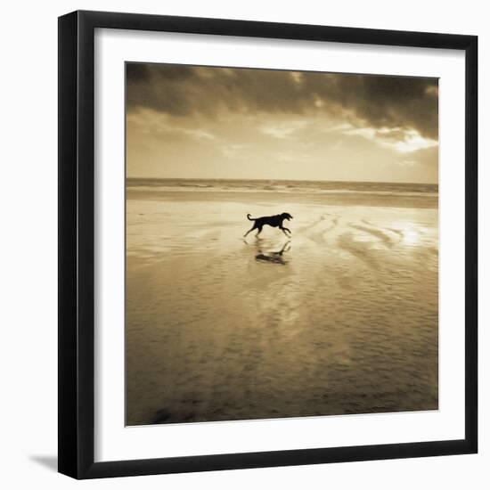 Dog on the Beach, West Wittering-Jo Crowther-Framed Giclee Print