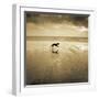 Dog on the Beach, West Wittering-Jo Crowther-Framed Giclee Print