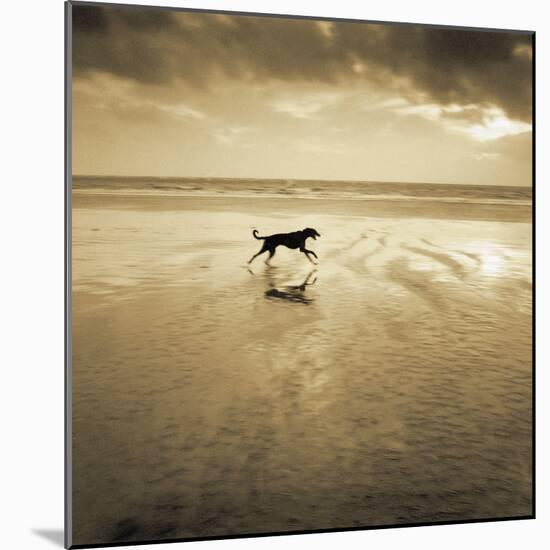 Dog on the Beach, West Wittering-Jo Crowther-Mounted Giclee Print