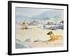 Dog on the Beach, Woolacombe, 1987-Lucy Willis-Framed Giclee Print