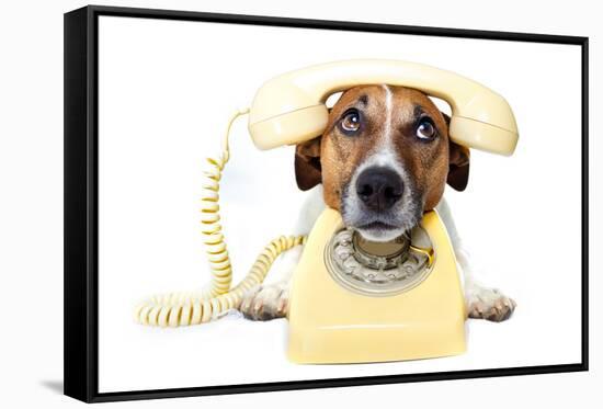 Dog on the Phone-Javier Brosch-Framed Stretched Canvas
