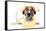 Dog on the Phone-Javier Brosch-Framed Stretched Canvas
