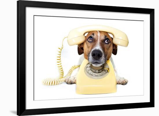 Dog on the Phone-Javier Brosch-Framed Photographic Print