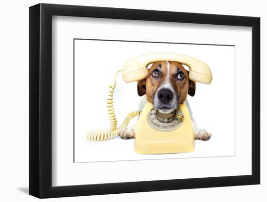 Dog on the Phone-Javier Brosch-Framed Photographic Print