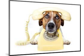 Dog on the Phone-Javier Brosch-Mounted Photographic Print