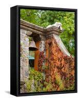 Dog on the Rooftop, San Miguel, Guanajuato State, Mexico-Julie Eggers-Framed Stretched Canvas