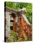 Dog on the Rooftop, San Miguel, Guanajuato State, Mexico-Julie Eggers-Stretched Canvas