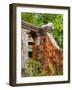 Dog on the Rooftop, San Miguel, Guanajuato State, Mexico-Julie Eggers-Framed Photographic Print