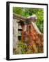 Dog on the Rooftop, San Miguel, Guanajuato State, Mexico-Julie Eggers-Framed Photographic Print