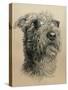 Dog One-Rusty Frentner-Stretched Canvas