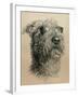 Dog One-Rusty Frentner-Framed Giclee Print