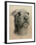 Dog One-Rusty Frentner-Framed Giclee Print