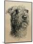 Dog One-Rusty Frentner-Mounted Giclee Print