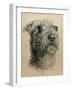 Dog One-Rusty Frentner-Framed Giclee Print