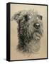 Dog One-Rusty Frentner-Framed Stretched Canvas