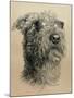 Dog One-Rusty Frentner-Mounted Giclee Print