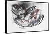 Dog Otter-Mark Adlington-Framed Stretched Canvas