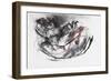 Dog Otter-Mark Adlington-Framed Giclee Print