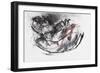 Dog Otter-Mark Adlington-Framed Giclee Print