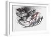 Dog Otter-Mark Adlington-Framed Giclee Print