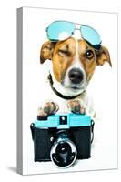 Dog Photo Camera-Javier Brosch-Stretched Canvas